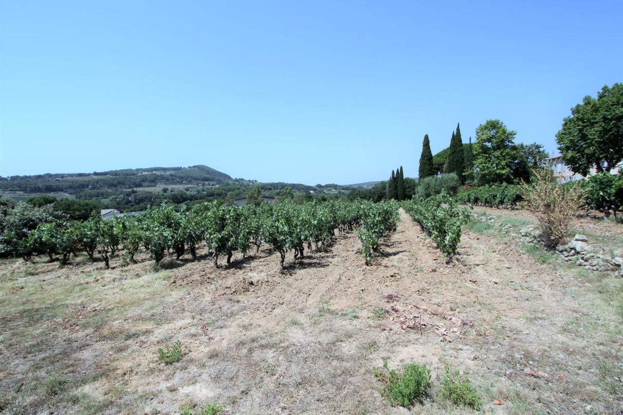 Bastide La Marraine Villa Le Castellet  Eksteriør bilde